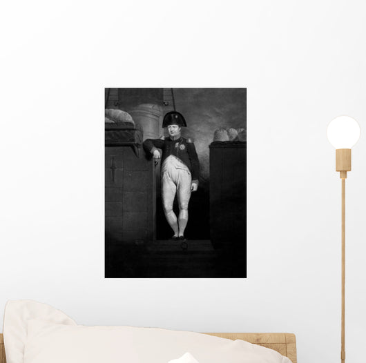 Vintage History Print Napoleon Wall Decal