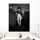 Vintage History Print Napoleon Wall Decal