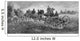 Vintage Civil War Print Wall Decal Design 7