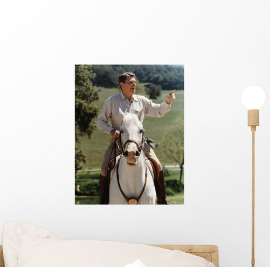 Digitally Restored Vector Photo Wall Decal Design 1