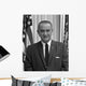 Digitally Restored American History Wall Decal Design 7