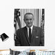 Digitally Restored American History Wall Decal Design 7