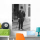 Digitally Restored English History Wall Decal