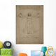 Leonardo Da Vinci's Vitruvian Wall Decal