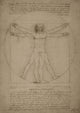 Leonardo Da Vinci's Vitruvian Wall Decal