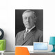 Presidential Photo President Woodrow Wall Decal