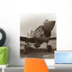 Vintage World War II Fighter Plane Wall Decal