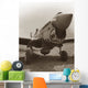 Vintage World War II Fighter Plane Wall Decal