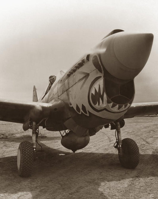 Vintage World War II Fighter Plane Wall Decal