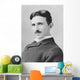 Inventor and Scientist Nikola Wall Decal