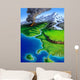 Montage Earth's Features Including Wall Decal Design 1