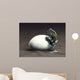 Early Dinosaur Ancestor Seymouria Wall Decal