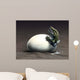 Early Dinosaur Ancestor Seymouria Wall Decal