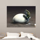 Early Dinosaur Ancestor Seymouria Wall Decal
