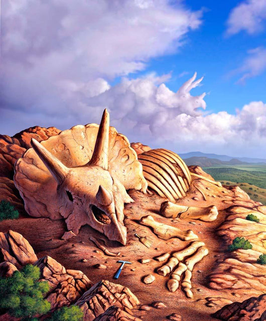 Exposed Bones Triceratops Western Wall Decal