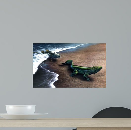 Artist's Concept Depicting Evolution Wall Decal