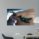 Artist's Concept Depicting Evolution Wall Decal