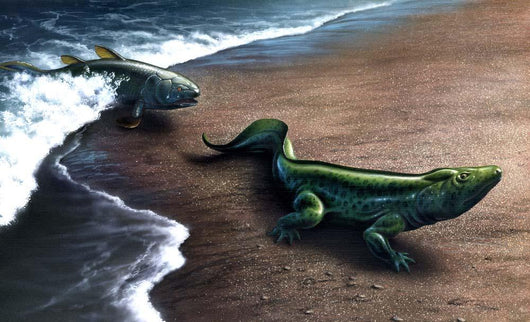 Artist's Concept Depicting Evolution Wall Decal