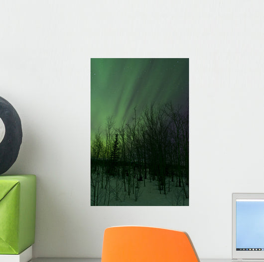 Aurora Borealis over Trees Wall Decal Design 6