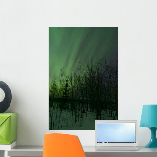 Aurora Borealis over Trees Wall Decal Design 6