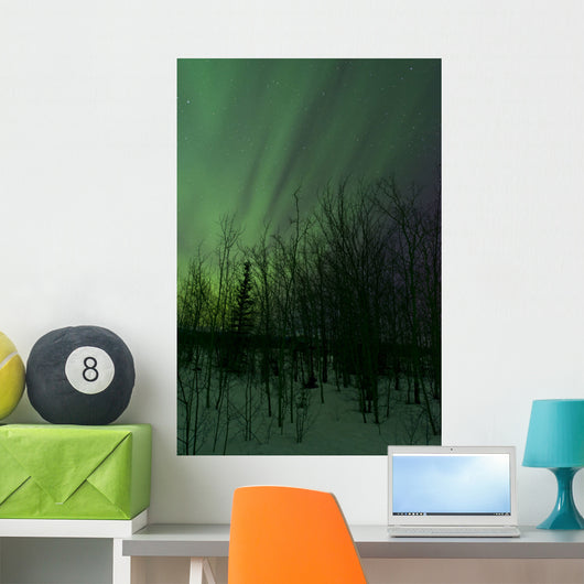 Aurora Borealis over Trees Wall Decal Design 6