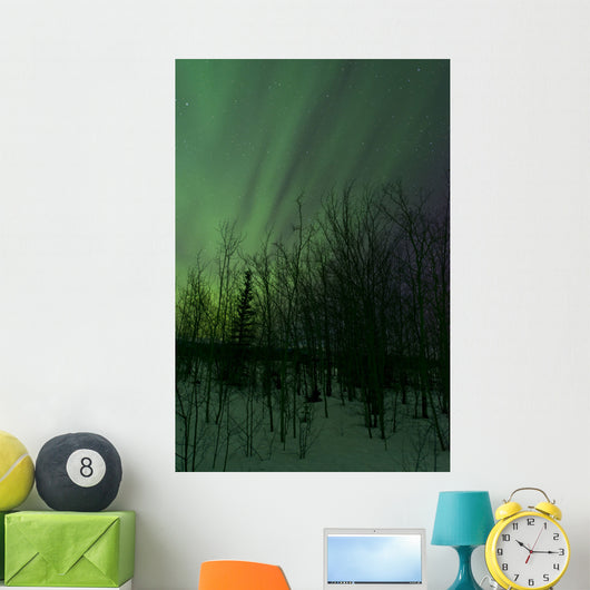 Aurora Borealis over Trees Wall Decal Design 6