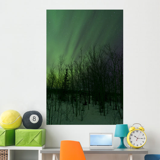 Aurora Borealis over Trees Wall Decal Design 6