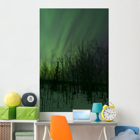 Aurora Borealis over Trees Wall Decal Design 6
