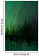 Aurora Borealis over Trees Wall Decal Design 6