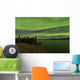 Aurora Borealis over Fish Wall Decal Design 18