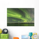 Aurora Borealis over Fish Wall Decal Design 17