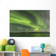 Aurora Borealis over Fish Wall Decal Design 17
