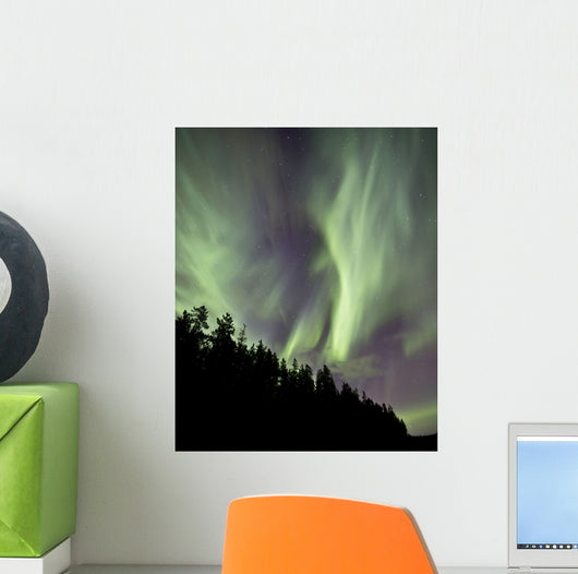 Aurora Borealis over Trees Wall Decal Design 5