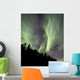 Aurora Borealis over Trees Wall Decal Design 5