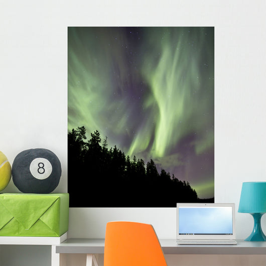 Aurora Borealis over Trees Wall Decal Design 5