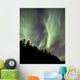 Aurora Borealis over Trees Wall Decal Design 5