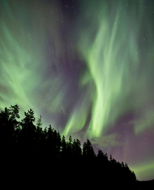 Aurora Borealis over Trees Wall Decal Design 5