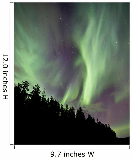 Aurora Borealis over Trees Wall Decal Design 5