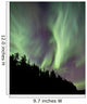 Aurora Borealis over Trees Wall Decal Design 5