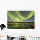 Aurora Borealis over Fish Wall Decal Design 15