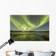 Aurora Borealis over Fish Wall Decal Design 15