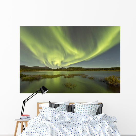 Aurora Borealis over Fish Wall Decal Design 15