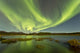Aurora Borealis over Fish Wall Decal Design 15