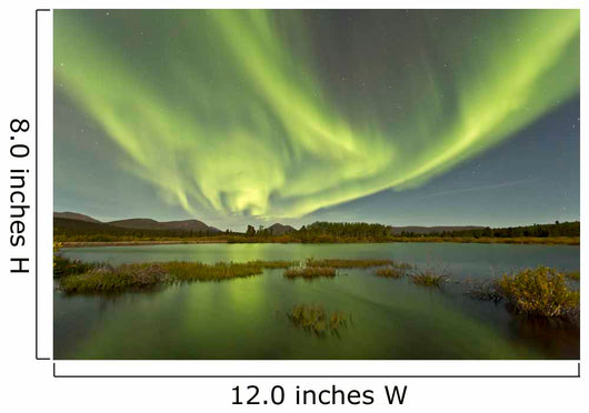 Aurora Borealis over Fish Wall Decal Design 15