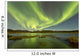 Aurora Borealis over Fish Wall Decal Design 15