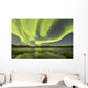 Aurora Borealis over Fish Wall Decal Design 14