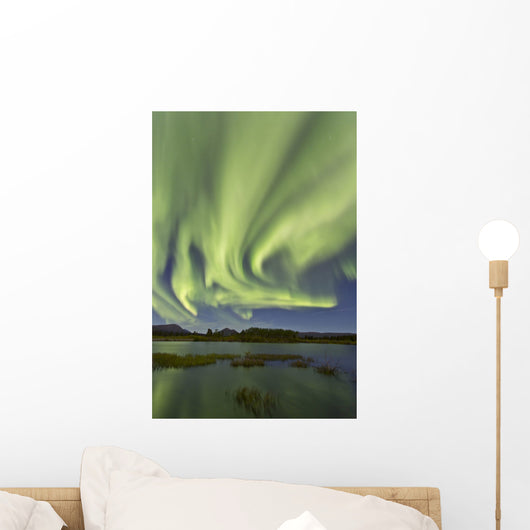 Aurora Borealis over Fish Wall Decal Design 13
