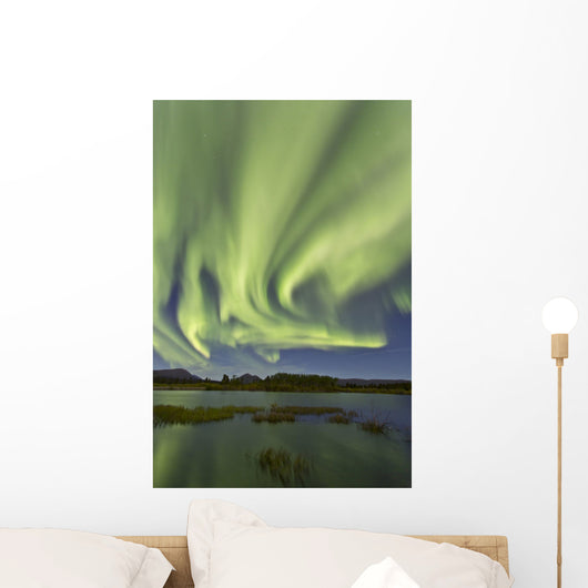 Aurora Borealis over Fish Wall Decal Design 13