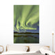 Aurora Borealis over Fish Wall Decal Design 13