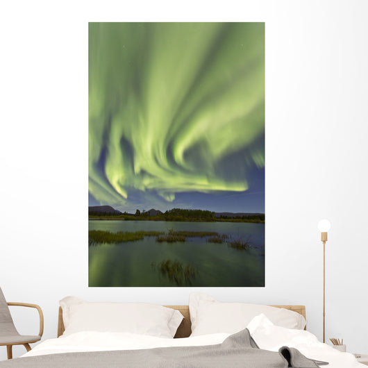 Aurora Borealis over Fish Wall Decal Design 13